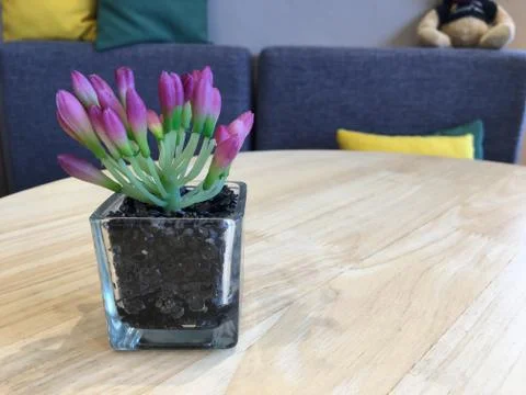Flowers in a vase on table Stock Photos