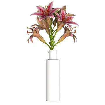 Flowers in a vase on a white background. Isolate. Stock Illustration