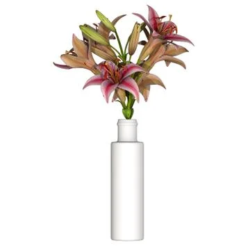 Flowers in a vase on a white background. Isolate. Stock Photos