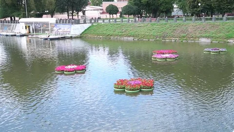 Flowers in vases on the water. Video stock 70522071