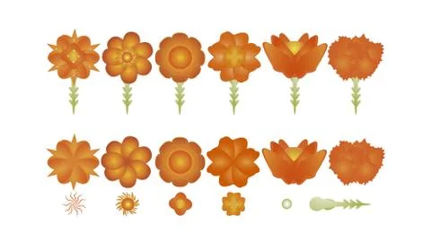 Flowers vector creation pack cs5 Stock Illustration