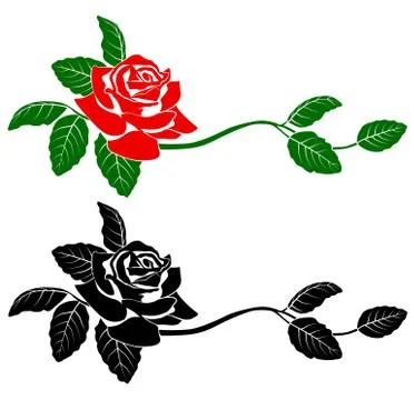 Flowers vector Stock Illustration