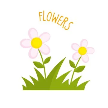 Flowers vector illustration Stock Illustration