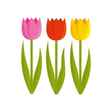 Flowers vector illustration Stock Illustration