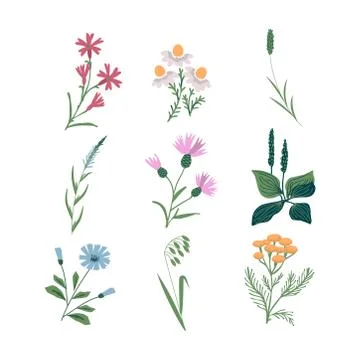 Flowers vector set Stock Illustration