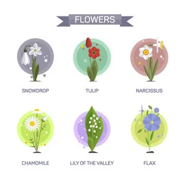 Flowers vector set isolated on white background. Illustration flat icons Stock Illustration