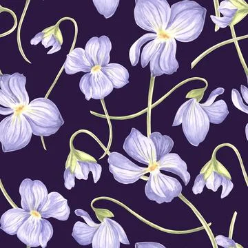Flowers Violet Seamless pattern Dark background. Watercolor garden pansy. Hand 스톡 일러스트