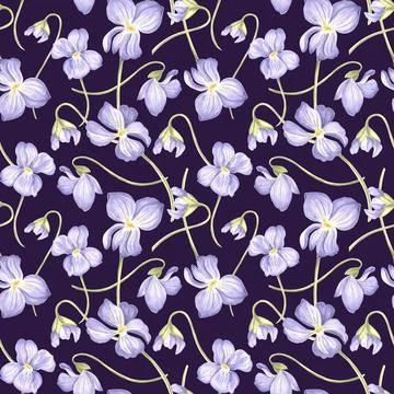 Flowers Violet Seamless pattern Dark background. Watercolor garden pansy. Hand Stock Illustration