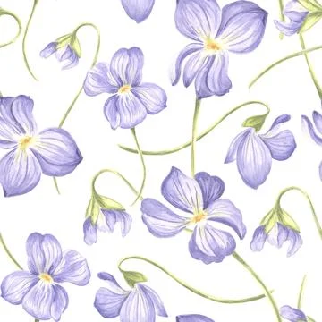 Flowers Violet Seamless pattern. Watercolor garden pansy. Hand drawn Stock Illustration