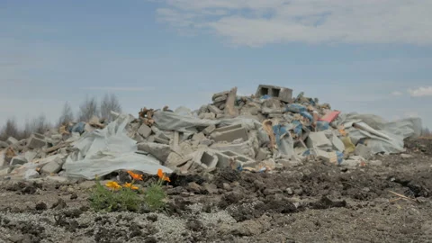 Flowers vs. Garbage Video stock 107383533