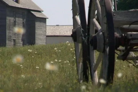 Flowers with wagon 스톡 동영상 148863