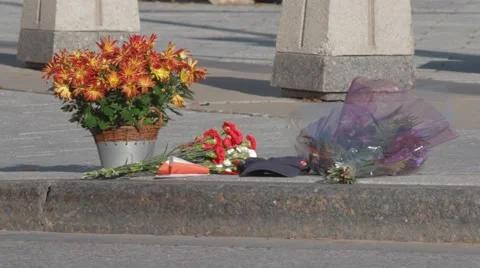 Flowers by war memorial Stock-Footage 42965256