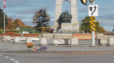 Flowers by war memorial, ws Stock-Footage 42965296