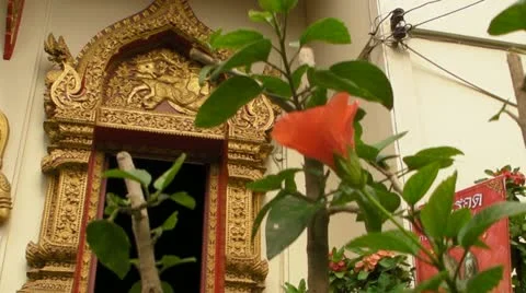 Flowers at Wat Mueang - Chiang Mai Stock Footage