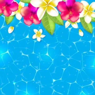Flowers in the water Stock Illustration
