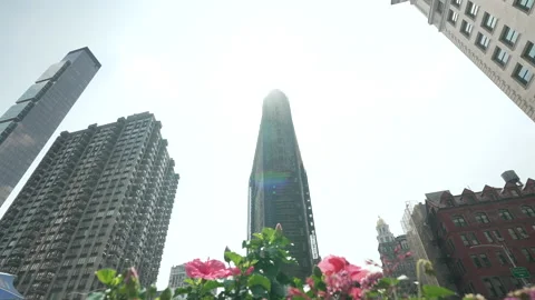 Flowers wave in the wind in front of the Flatiron Building in NYC Vídeos de archivo 181215490
