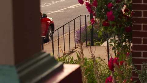 Flowers wave in wind outside the building entrance Stock Footage 93519566