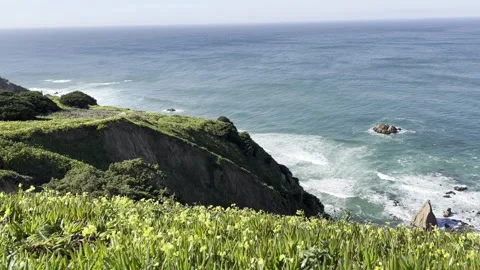 Flowers with Waves and Cliffs in the Background Stock Footage 314946273