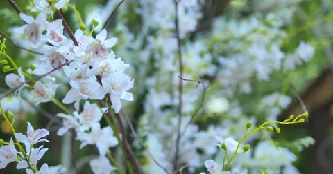 Flowers for wedding ceremony selective focus Stock Footage