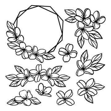 FLOWERS WEDDING Openwork Compositions From Jasmine For Print Stock Illustration