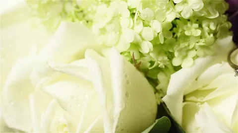 Flowers with wedding rings Stock Footage 49671111