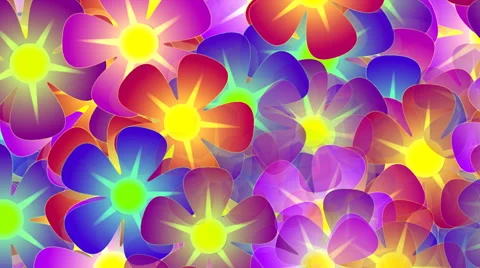 Flowers on a white background Stock Footage 51249707