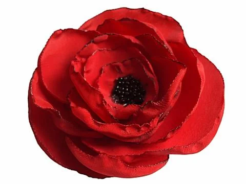 Flowers on a white background. Foto stock