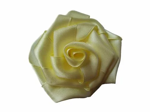 Flowers on a white background. Foto stock