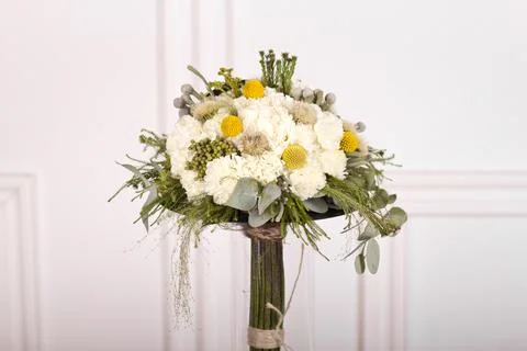 Flowers on white background Stock Photos