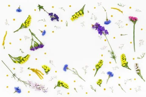 Flowers on white background. Top view, flat lay Stock Photos