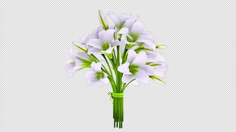 Flowers White Bouquet Stock Footage 145201868