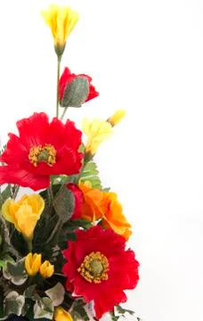 Flowers on white Stock Photos