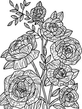 Flowers wild Rose, isolated object, white background. Coloring book antistress Stock Illustration
