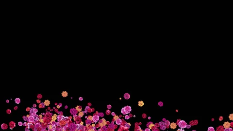 Flowers wind Видео 91383803