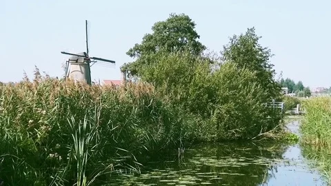 Flowers by windmill in Kinderdijk (Netherlands) Stock Footage 85394397