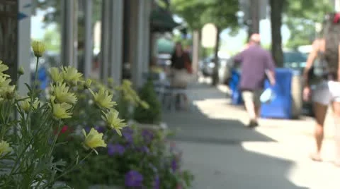Flowers in a window box along the sidewalk Stock Footage 8981365