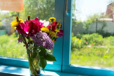 Flowers on the window Stock Photos