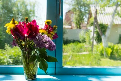 Flowers on the window Foto stock