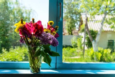 Flowers on the window Stock-Fotos