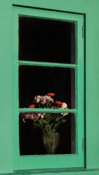 Flowers in window Stock Photos
