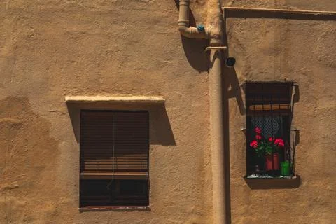 Flowers on the window Stock Photos