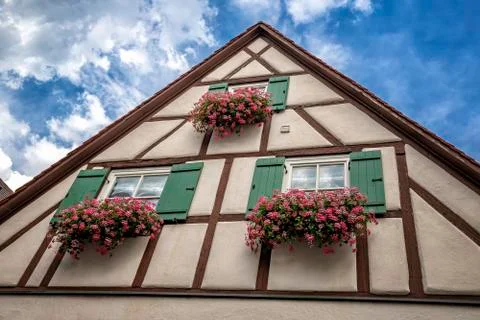 Flowers in the window Stock Photos