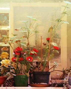Flowers on window sill Stock Photos