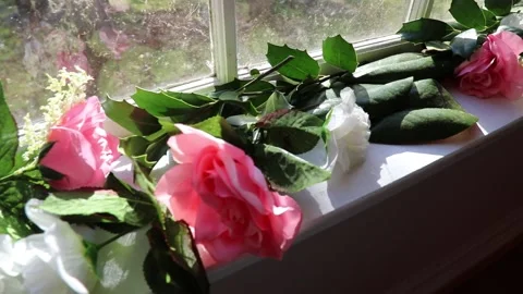 Flowers on window sill wedding b-roll Stock Footage 139611987