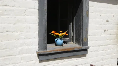 Flowers in window, white adobe wall, Sutter's Fort, Sacramento California Stock Footage 166983022