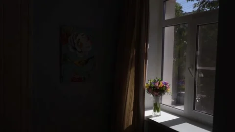 Flowers on the windowsill Stock Footage 163566733