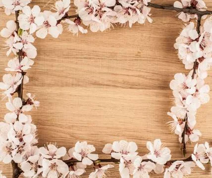Flowers on wooden background Stock Photos