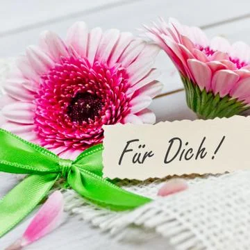 Flowers for you Stock Photos
