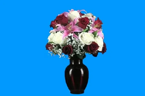 Flowers1 Stock Footage 18514785