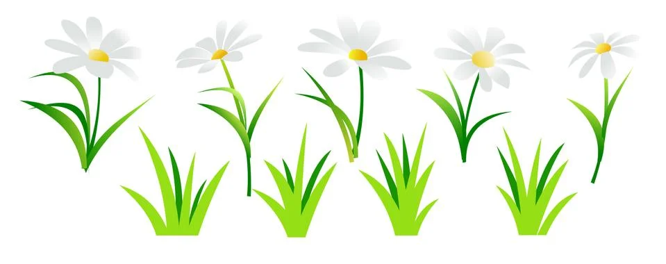 Flowers_daisies_tree_set Stock Illustration